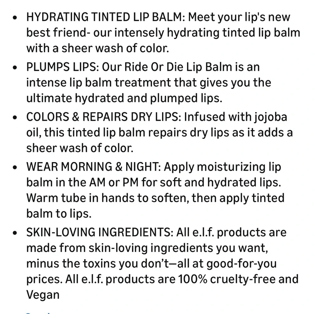 e.l.f. Ride or Die Lip Balm Sheer Finish Mighty Mint 0.42 Oz (Discontinued)